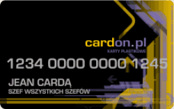 karty plastikowe z numeracja
